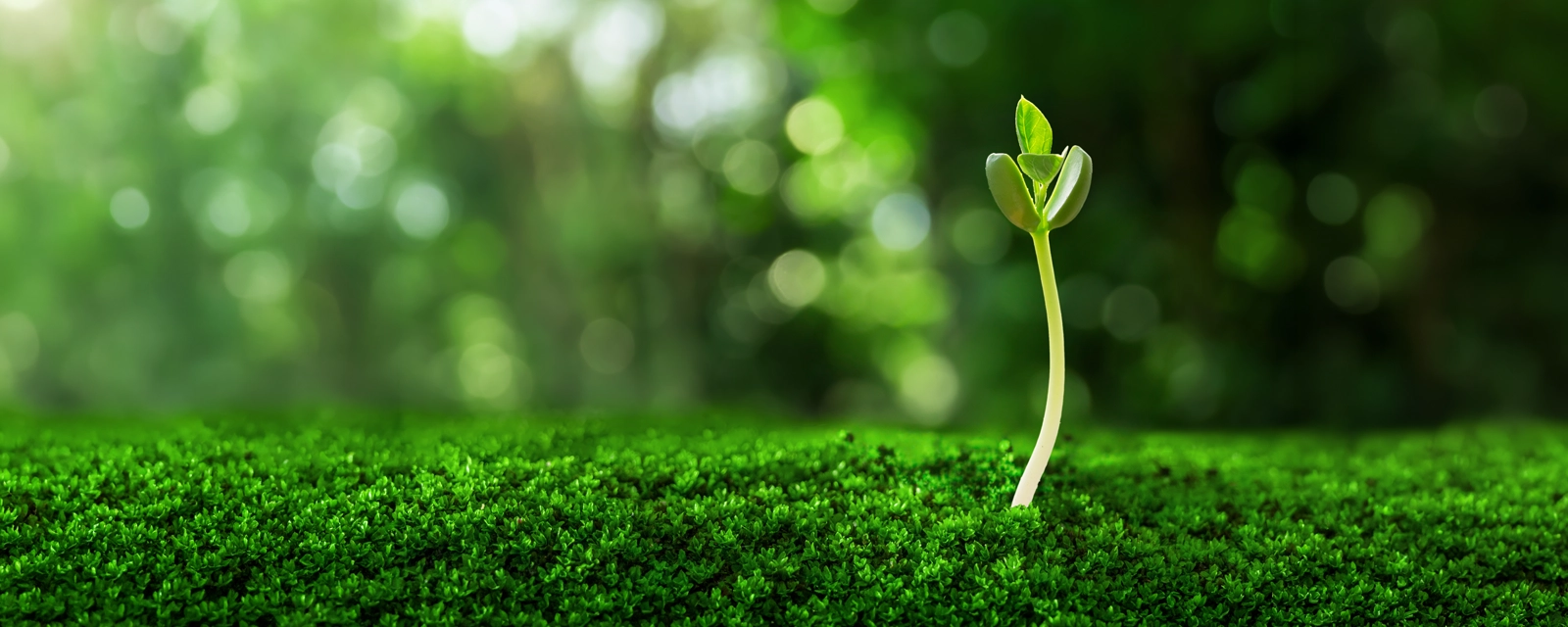 Blog Post Banner Image