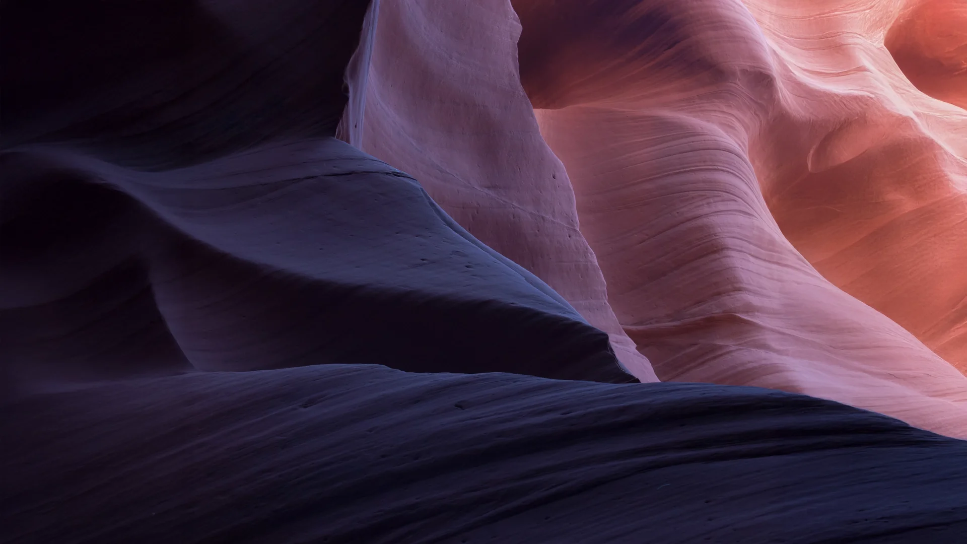 Homepage Banner Winninng In Private Markets