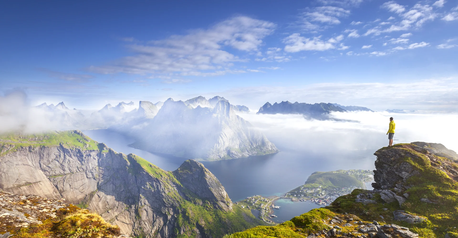 <p>Alternative Investment Managers</p> banner image