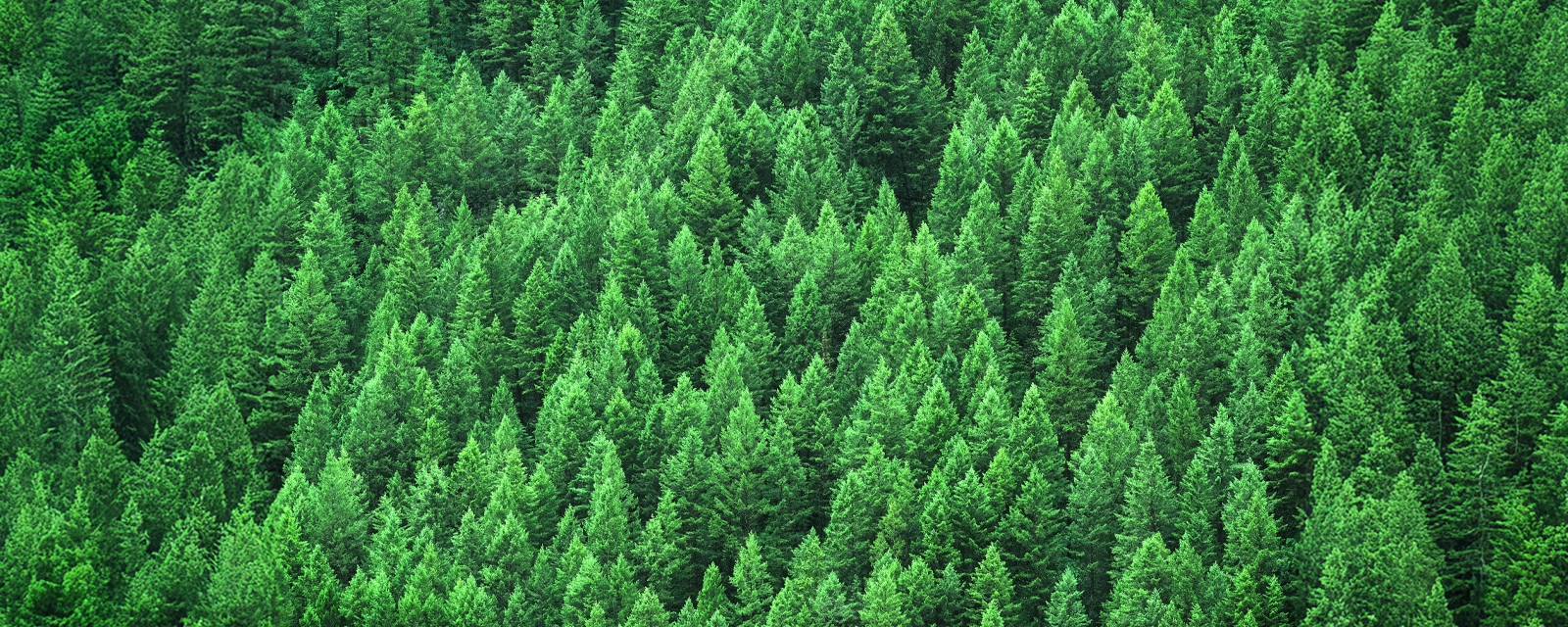 Blog Post Banner Image