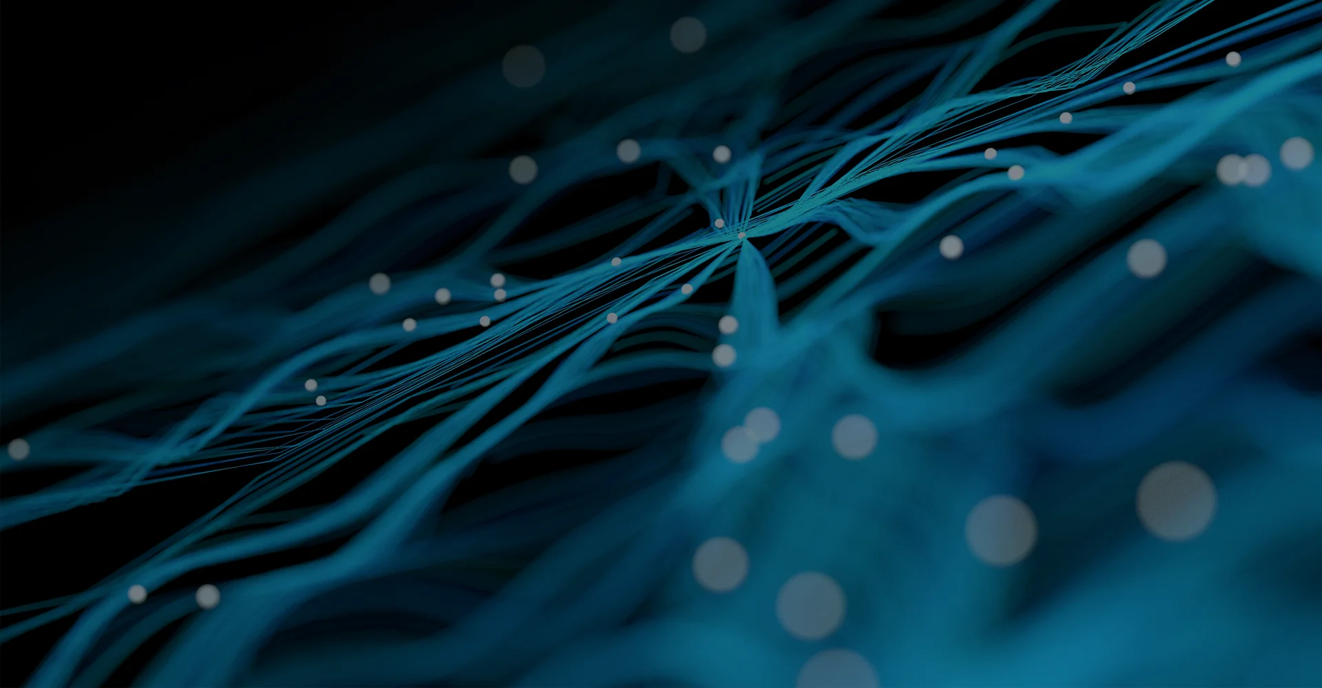 <p>Alternative Investment Managers</p> banner image