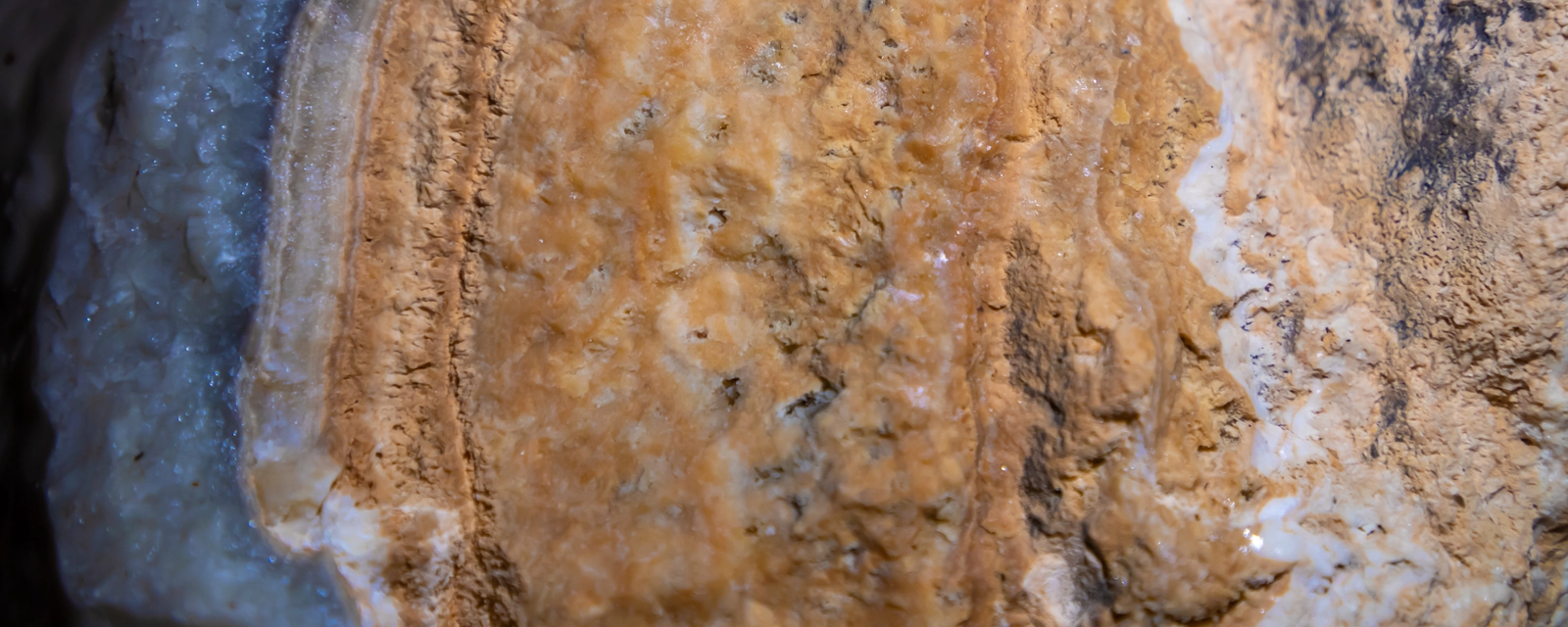 Blog Post Banner Image