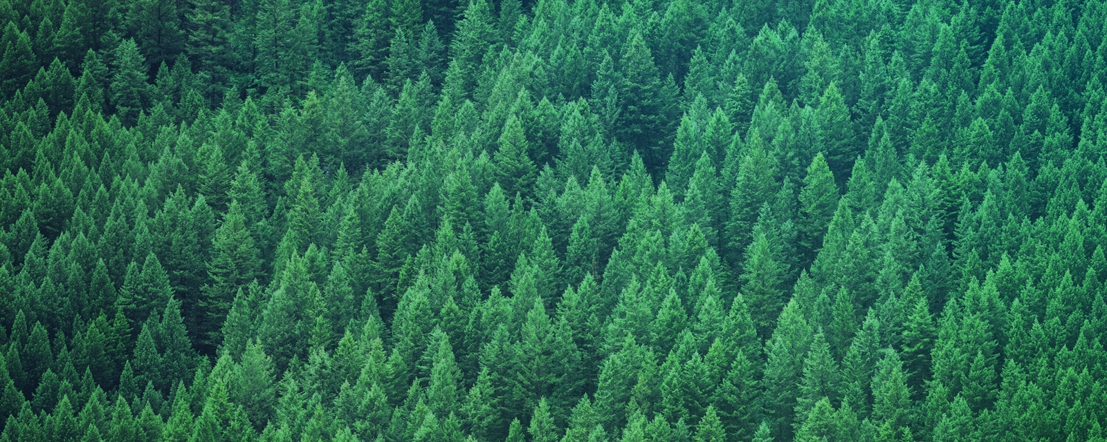 Unified Managed Accounts | The Architecture of Scalable Wealth Management banner image